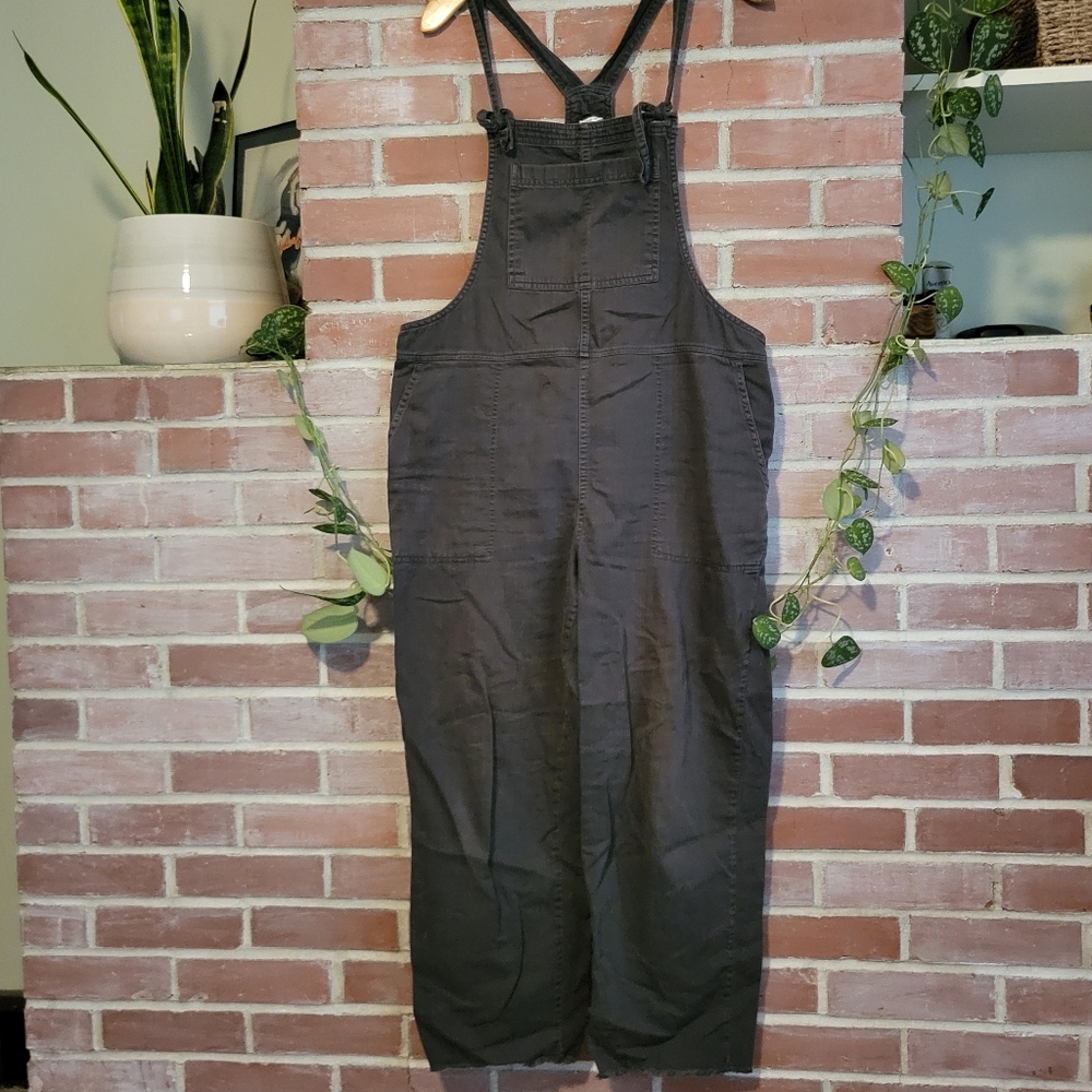 Aerie Overalls